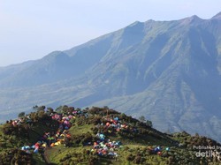 5 Rekomendasi Gunung Terindah di Jawa Tengah