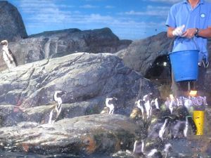 5 Rekomendasi Tempat Wisata di Bangkok