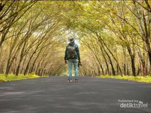 5 Rekomendasi Wisata Di Lampung yang Memesona