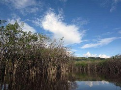 5 Tempat Liburan Asyik di Kalimantan