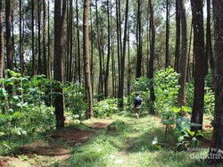 6 Alasan Kenapa Harus Liburan ke Temanggung