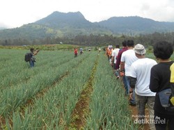 7 Aktifitas Seru Saat Berkunjung ke Hulu Citarum