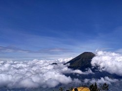 7 Hal yang Harus Diperhatikan Pendaki Pemula