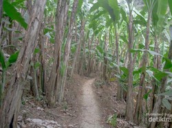 Ada Danau Purba di Bandung?