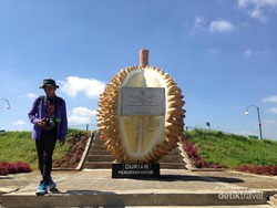Ada Durian Raksasa di Kulonprogo!