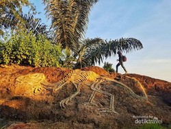 Ada Fosil Dinosaurus di Gunungkidul!