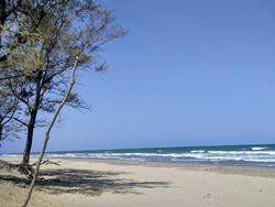 Ada Gurun Pasir di Pantai Oetune, NTT!