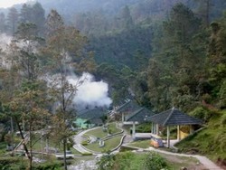 Ada Hutan Pinus Ala Film Twilight di Semarang