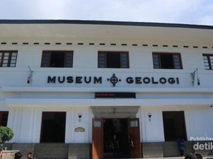 Ada Kerangka Tyrannosaurus Rex di Bandung!