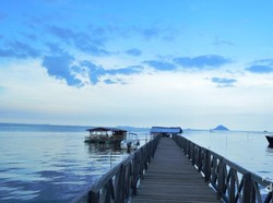 Ada Laboratorium alam di Sulsel, Hutan Mangrove Tongke-tongke