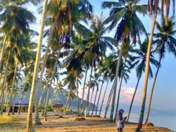 Ada Pantai NTB, Tapi di Sulawesi Tengah