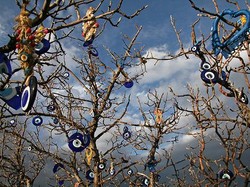 Ada Pohon Penangkal Mata Setan di Turki!