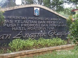 Ada Taman Anggrek yang Fotogenik di Ragunan