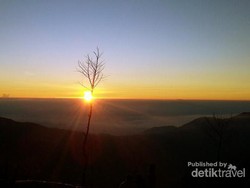 Ada Teletubbies di Candi Arjuna, Dieng