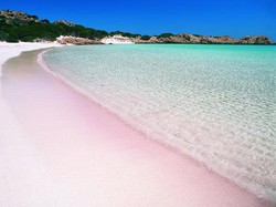 Aiih! Ada Pantai Pasir Pink di Pulau Komodo