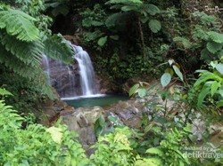 Air Terjun 7 Tingkat Nan Fotogenik di Sumbar