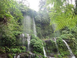 Air Terjun Benang Kelambu, Cantiknya Tirai Air dari Lombok