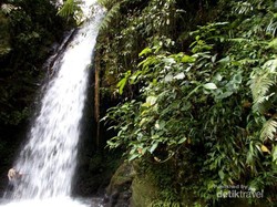 Air Terjun di Gunung Halimun yang Konon Bikin Awet Muda