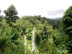 Air Terjun Sekumpul yang Tersembunyi di Hutan Buleleng