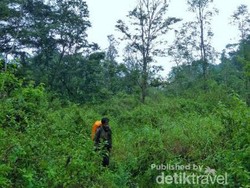 Air Terjun Tersembunyi di Lombok