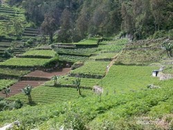 Air Terjun Tirtosari di Jatim, Konon Bikin Tambah Cantik
