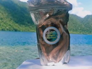 Akar Mangalik, Herbal Raja Ampat yang Jadi Buruan Turis