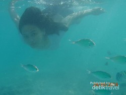 Akhir Pekan, Ayo Snorkeling di Kepulauan Seribu