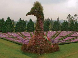 Akhir Pekan Cantik di Taman Bunga Nusantara, Bogor