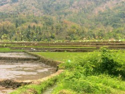 Akhir Pekan di Lereng Bukit Menoreh yang Sejuk