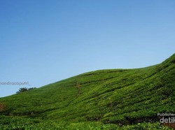 Akhir Pekan di Tangkuban Perahu, Lihatlah Kabut yang Romantis