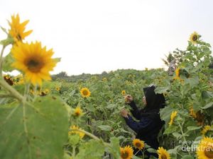Akhir Pekan di Yogya, Jangan Lupa Kunjungi 4 Tempat Ini