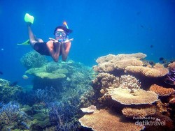 Akhir Pekan ke Karimunjawa, Ayo Main Air!