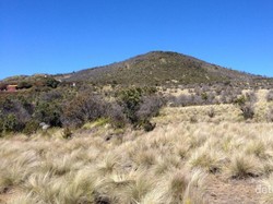 Akhir Pekan Mendaki Gunung Lawu, Ini Kisahnya