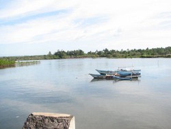 Akhir Pekan Seru, Yuk Main Surfing di Ciamis