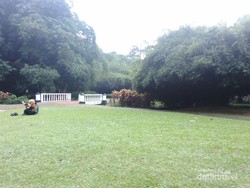 Akhir Pekan yang Seru di Kebun Raya Bogor
