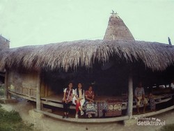Alamak, Begini Eksotisnya Sumba!
