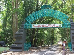Alas Purwo: Hutan Tertua Jawa yang Magis nan Mistis