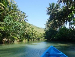 Amazon Mini dari Pacitan
