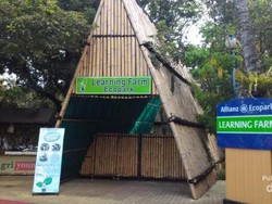 Aneka Aktivitas Menarik di Learning Farm Ancol