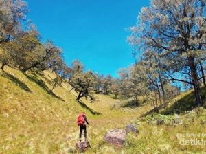 Aneka Gunung Indonesia yang Katanya Angker