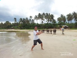 Aneka Pesona Wisata dari Sawarna