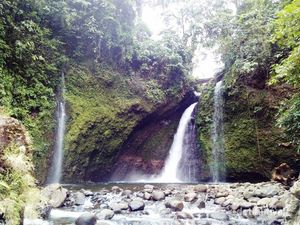 Arga Makmur, Rumah Rafflesia di Bengkulu Utara