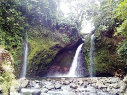 Arga Makmur, Rumah Rafflesia di Bengkulu Utara