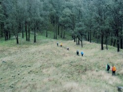 Arjuno-Welirang, Si Gunung Berapi Kembar dari Malang