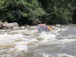 Arung Jeram di Sungai Alas, Hanya untuk Para Pemberani!