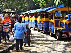 Asyik! 24 Juni Gratis Masuk Ragunan dan Naik TransJakarta