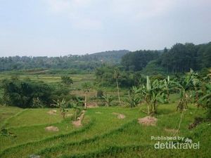 Asyiknya Main Basah-basahan di Curug Bogor