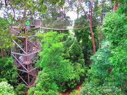 Asyiknya Naik Jembatan Kanopi di Balikpapan