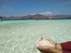 Ayo Jelajahi Pulau Surga Komodo!
