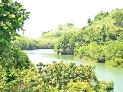 Bajul Mati, Sisi Lain Keindahan Kota Malang